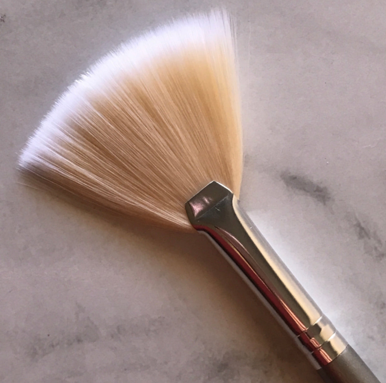 LE2 Fan Brush